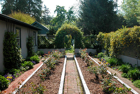 Perrenial and Rose Garden